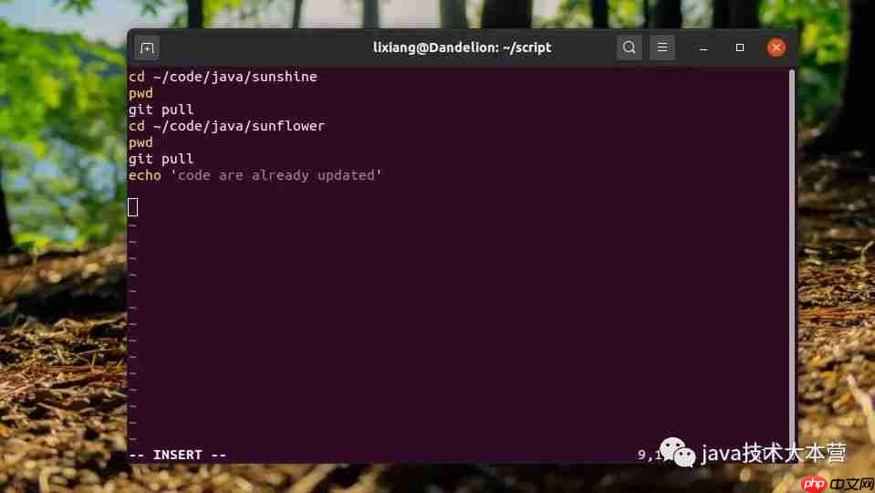 java学习应用篇|使用环境变量做一些工具