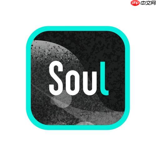 soul如何查看历史匹配记录_soul历史匹配记录查询