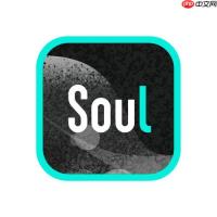 soul如何查看历史匹配记录_soul历史匹配记录查询