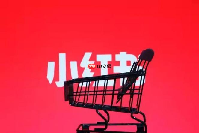 小红书千帆APP为什么打不开_小红书千帆APP无法启动问题解决