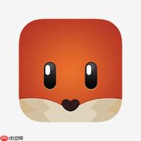 探探App怎么备份聊天记录_探探App聊天记录备份方式及云端同步