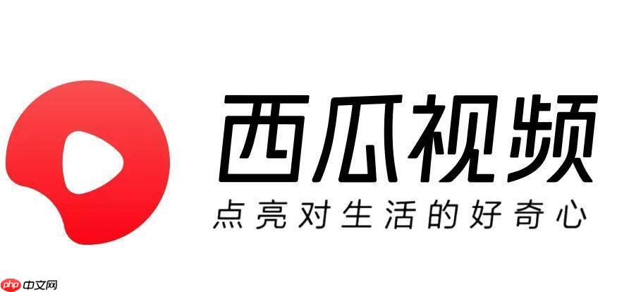 西瓜视频PC版首次登录怎么操作_西瓜视频PC版首次登录账号图文教程