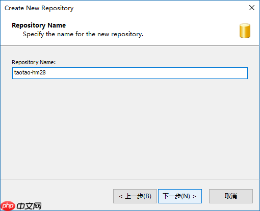 VisualSVN Server 的使用图解(windows版本)