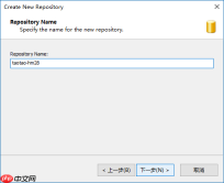 VisualSVN Server 的使用图解(windows版本)