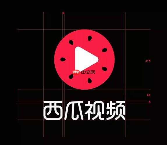 西瓜视频PC版播放黑屏怎么回事_西瓜视频PC版解决视频播放黑屏故障