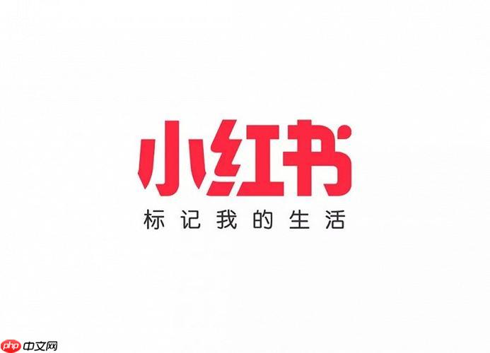 小红书千帆APP怎么开通使用_小红书千帆APP开通条件与申请流程