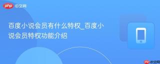 百度小说会员有什么特权_百度小说会员特权功能介绍