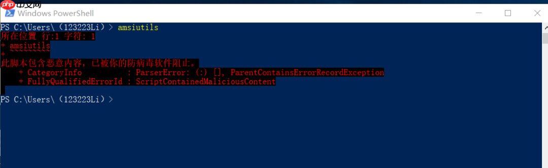 11.反恶意软件扫描接口 (AMSI)