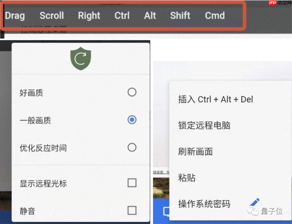 再见了，Teamviewer！