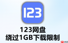 123网盘分享链接访问量怎么看_123网盘分享链接统计查看方法