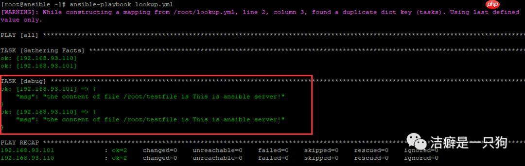 自动化运维 | Ansible lookup