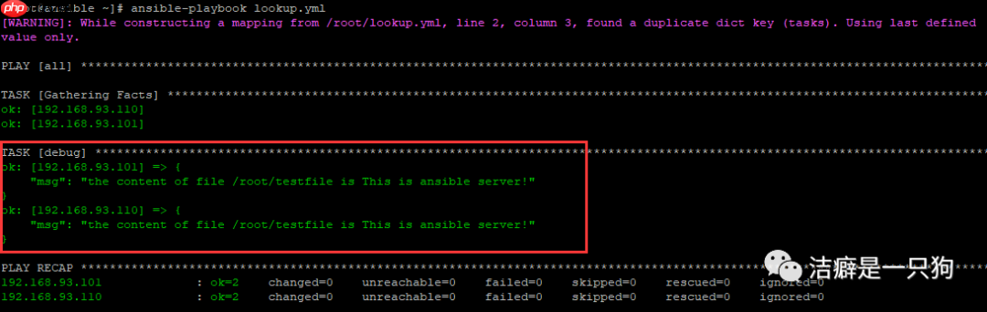 自动化运维 | Ansible lookup
