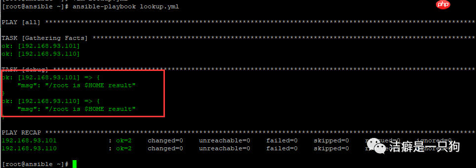 自动化运维 | Ansible lookup