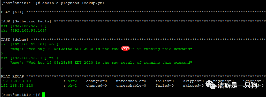 自动化运维 | Ansible lookup