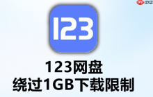 123云盘下载速度慢怎么解决_123云盘下载速度慢解决方法