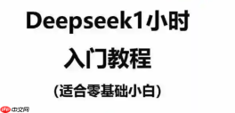 DeepSeekAPI如何调用大模型_DeepSeekAPI调用大模型指南