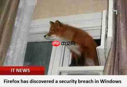 程序员幽默笑话，愿平凡的我们做一个有趣的人