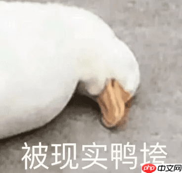 程序员幽默笑话，愿平凡的我们做一个有趣的人