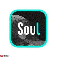 Soul Soul币如何充值_Soul Soul币充值步骤详解