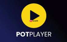 Potplayer怎么保存播放设置_Potplayer保存配置的详细操作步骤