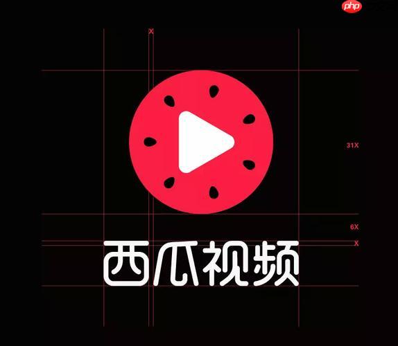 西瓜视频PC版显示网络错误怎么办_西瓜视频PC版解决网络连接异常问题