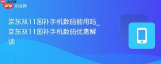 京东双11国补手机数码能用吗_京东双11国补手机数码优惠解读