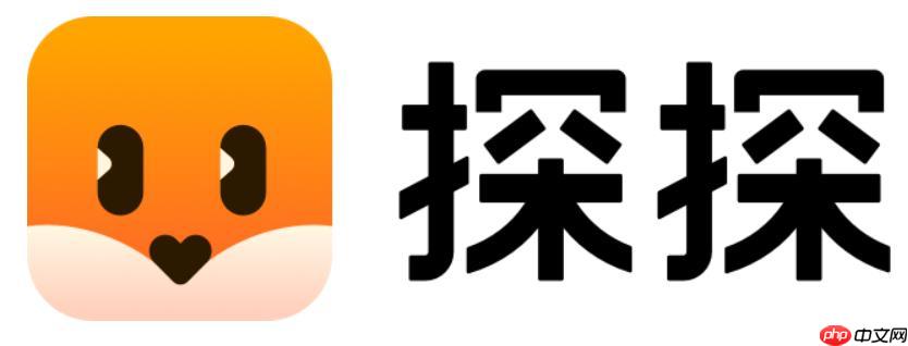 探探App如何自定义界面主题_探探App界面主题自定义选项及美化建议