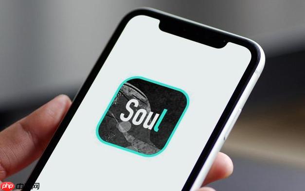 Soul如何隐藏自己的在线状态_Soul隐藏在线状态教程