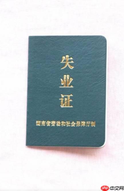 在哪里办理失业证_失业证办理地点与机构指南