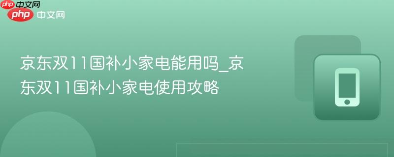 京东双11国补小家电能用吗_京东双11国补小家电使用攻略