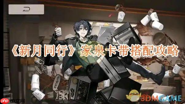 《新月同行》攻略——家泉卡带搭配攻略