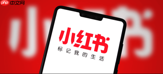 小红书如何做好用户调研_小红书用户调研的实用方法解析