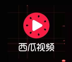 西瓜视频PC版占用内存过高怎么办_西瓜视频PC版优化内存占用解决卡顿