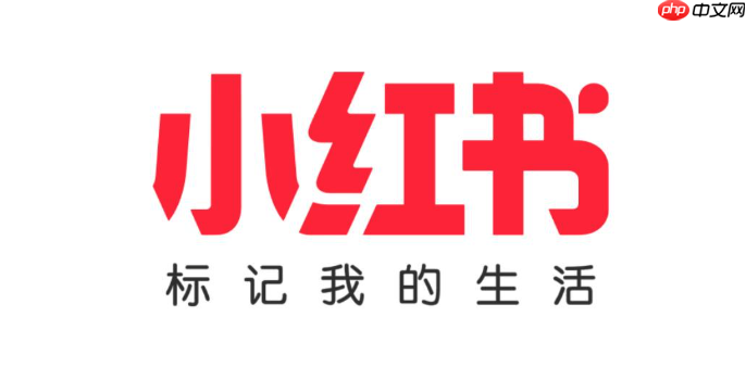 小红书账号如何定位_小红书账号定位的科学方法与建议