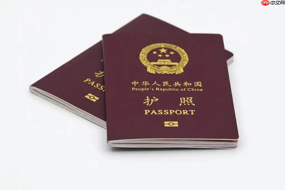护照申请表哪里下载_护照申请表下载渠道及填写指南