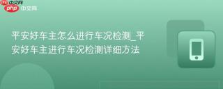 平安好车主怎么进行车况检测_平安好车主进行车况检测详细方法