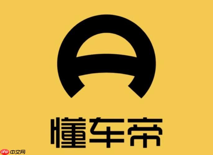 懂车帝怎样查询违章记录_懂车帝车辆违章查询方法