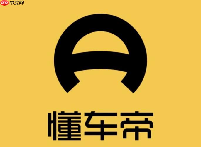 懂车帝怎样查询违章记录_懂车帝车辆违章查询方法