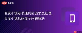 百度小说看书遇到乱码怎么处理_百度小说乱码显示问题解决