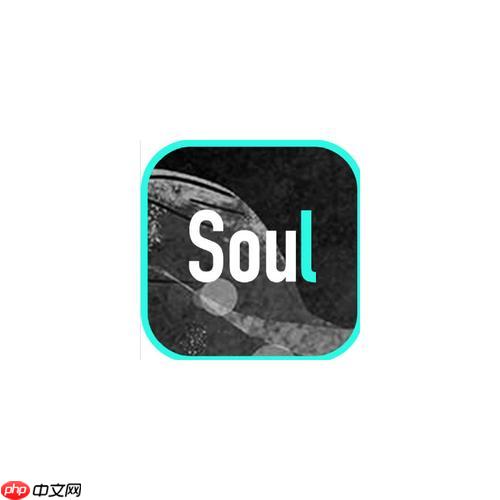 Soul怎么查看共同興趣_Soul共同興趣查看匹配功能