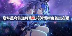 崩坏星穹铁道辉痕圣林神悟树庭若虫收集攻略-辉痕圣林神悟树庭若虫收集攻略