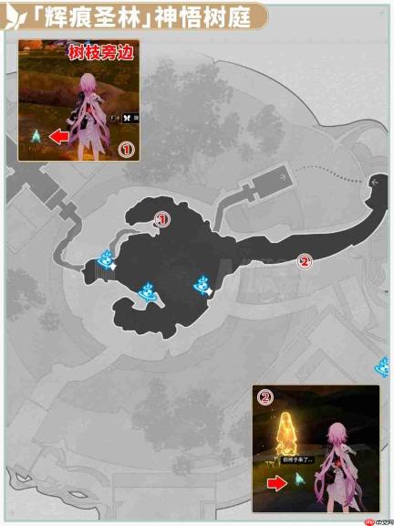 崩坏星穹铁道辉痕圣林神悟树庭若虫收集攻略-辉痕圣林神悟树庭若虫收集攻略