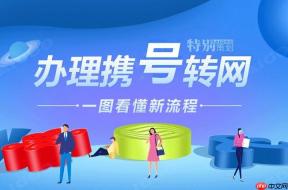 携号转网虚拟号能转吗_携号转网虚拟号码转网条件及方法详解