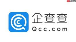 企查查怎么批量查询数据_企查查如何高效进行企业信息批量查找详细技巧