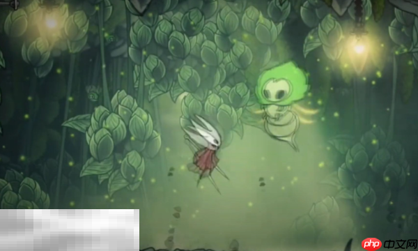 空洞骑士丝之歌纹章一共有几个 丝之歌全纹章获取介绍