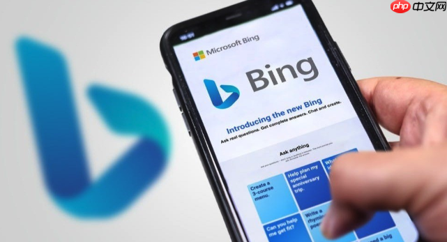 Bing瀏覽器怎么鎖定瀏覽器_Bing瀏覽器鎖定與安全防護(hù)設(shè)置