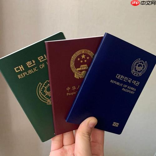 護(hù)照有效期怎么查_查詢護(hù)照有效期的方法與步驟