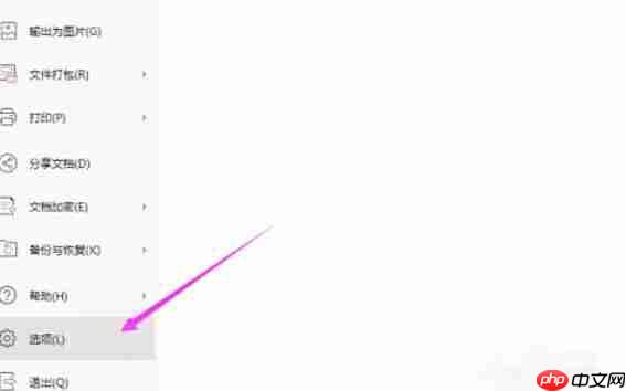 WPS Office 2019怎么开启垂直标尺-WPS Office 2019开启垂直标尺的方法