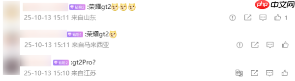 荣耀GT 2系列配置曝光:9000mAh电池+165Hz直屏