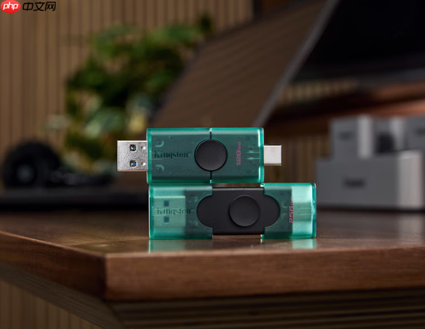 雙接口通吃金士頓DTDUO Gen2閃存盤